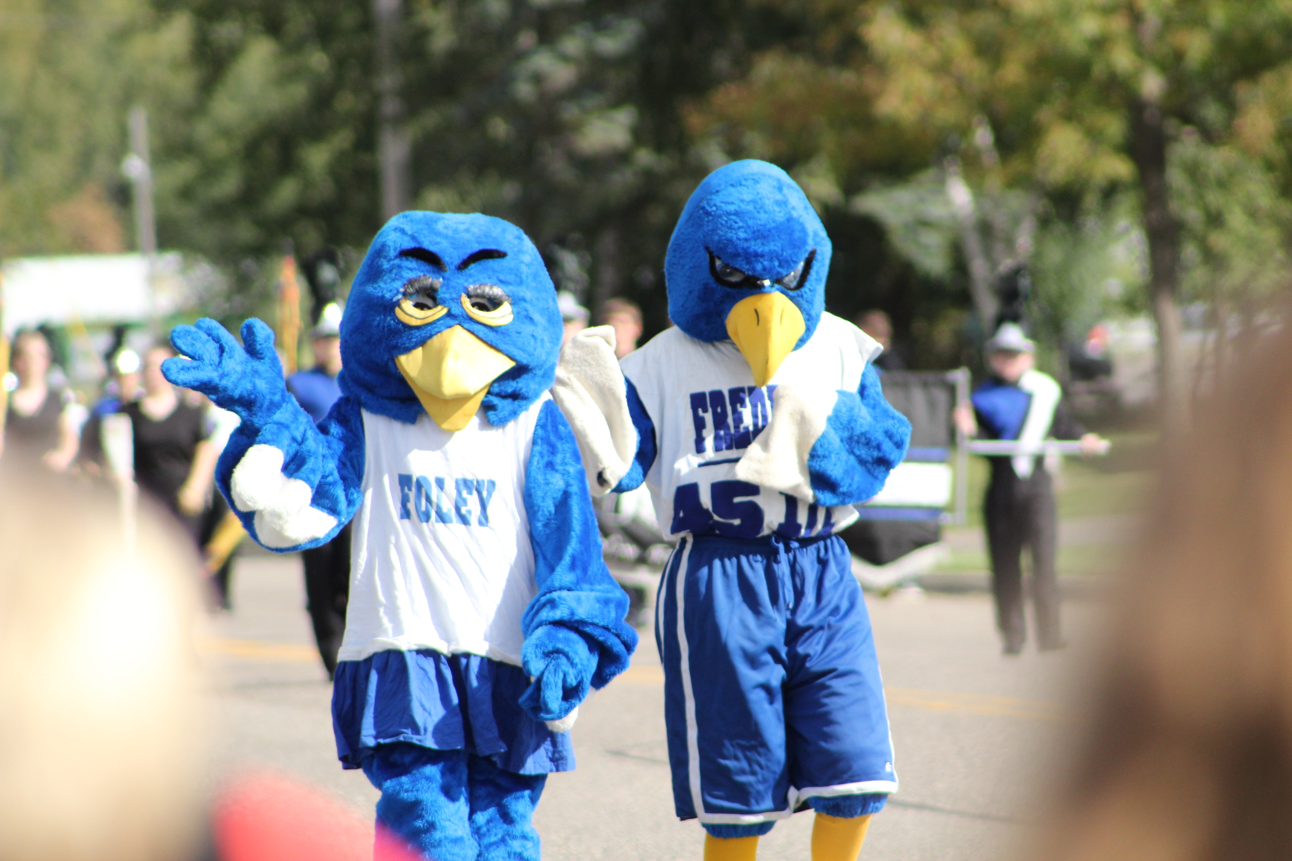 Foley Public Schools